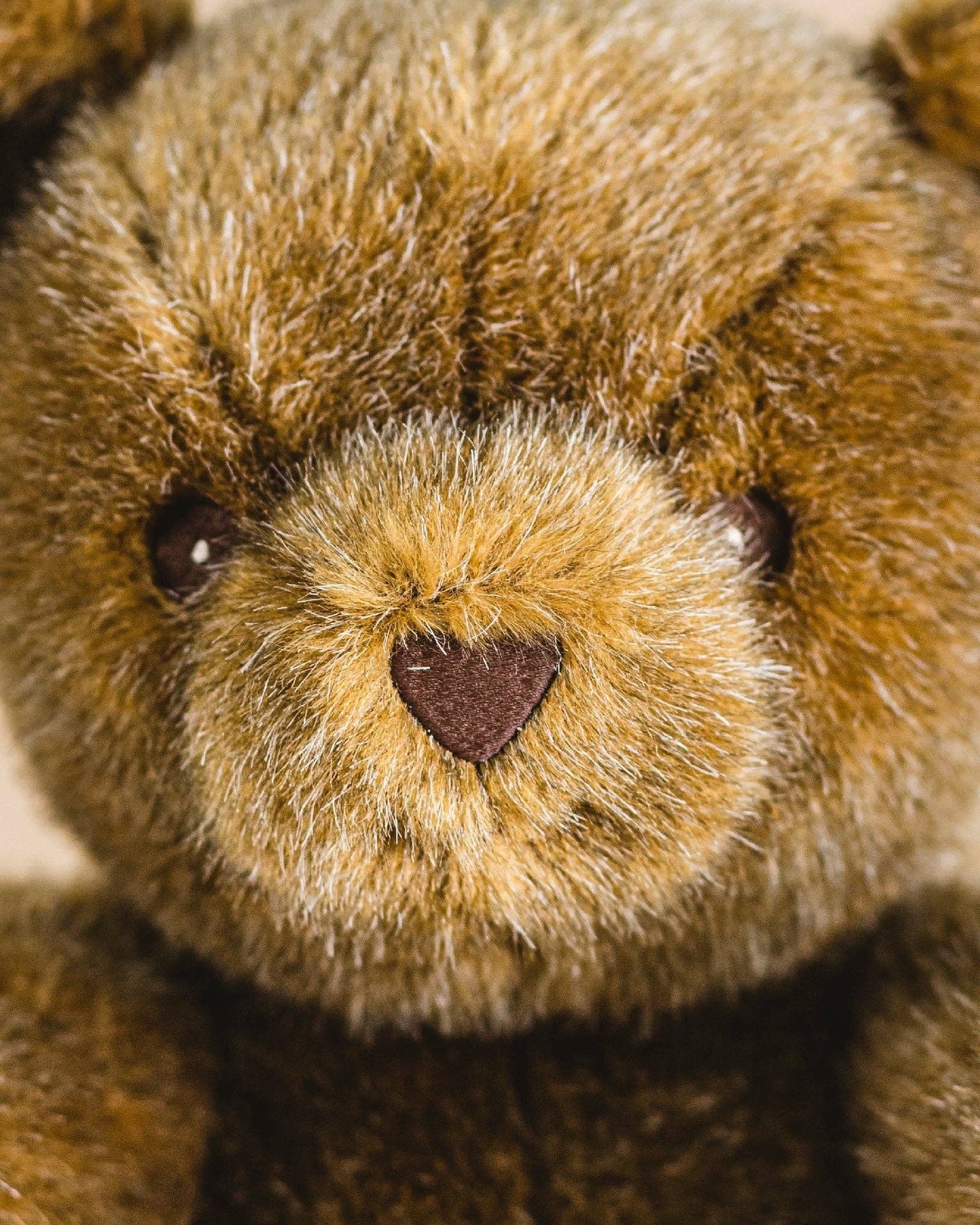 Robert the Bear - Steiff / Brown - Small