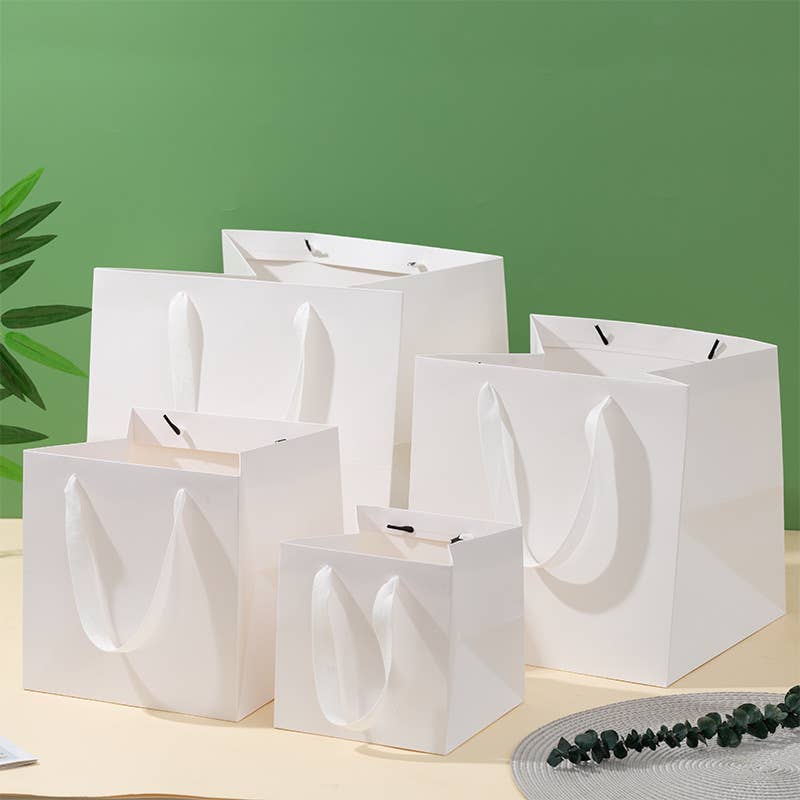 All White Square Cotton Handle Paper Gift Bag w/ free tissue: S2