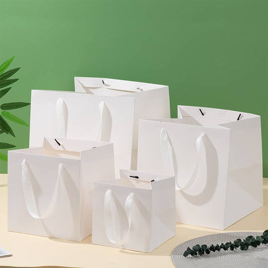 All White Square Cotton Handle Paper Gift Bag w/ free tissue: S4