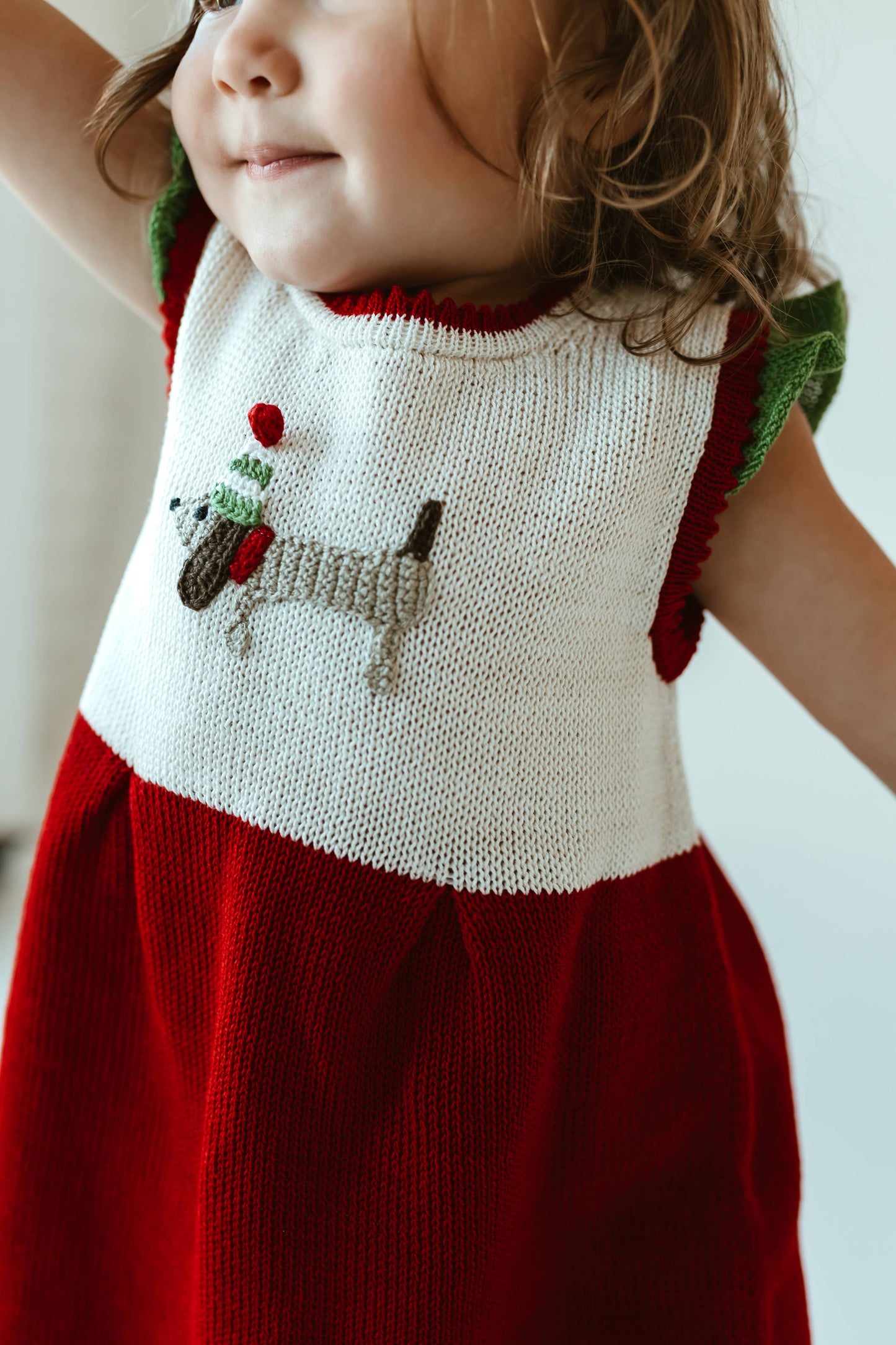 Holiday Dog Dress: 2T