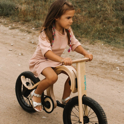 Pedal Bike Add-On