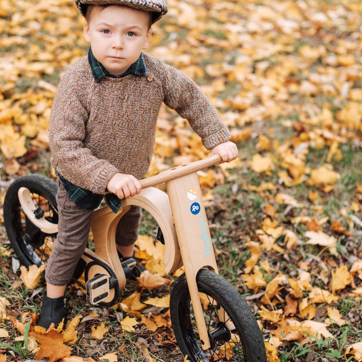 Pedal Bike Add-On