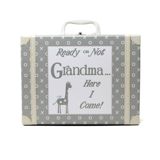 Gray Grandma Suitcase