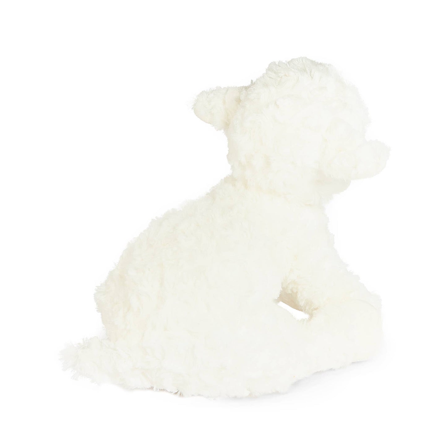 Kiddo the Lamb