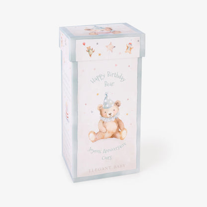 Aqua Birthday Bear Plush Toy w/ Gift Box