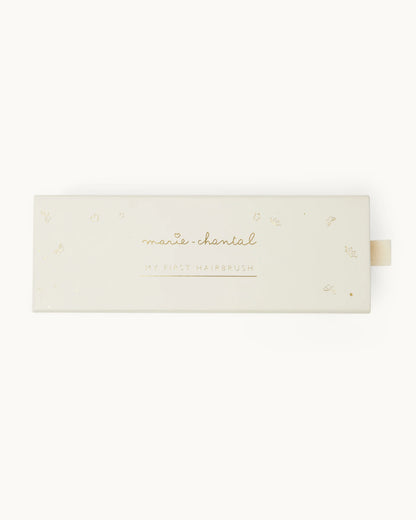 Aristidis Hairbrush with Crest