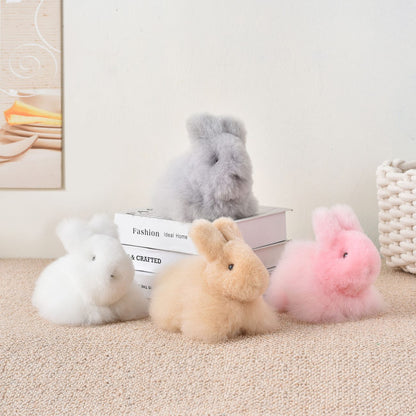 Bunny Garden Co. 13cm