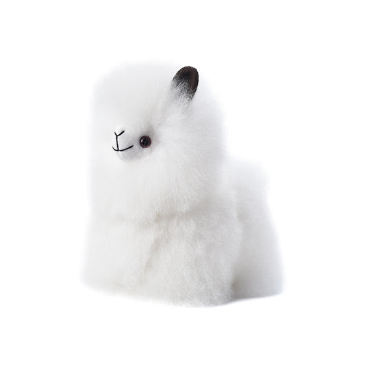 Big Head Alpaca Heart Co. 18cm