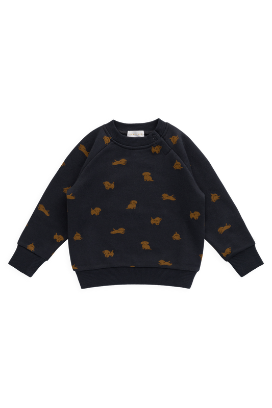Organic Cotton Flynn Sweatshirt - Playful Milo Captain