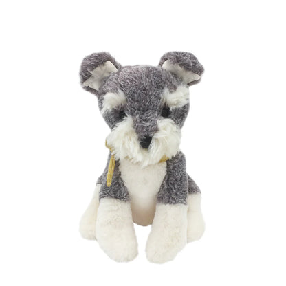 Winston Schnauzer