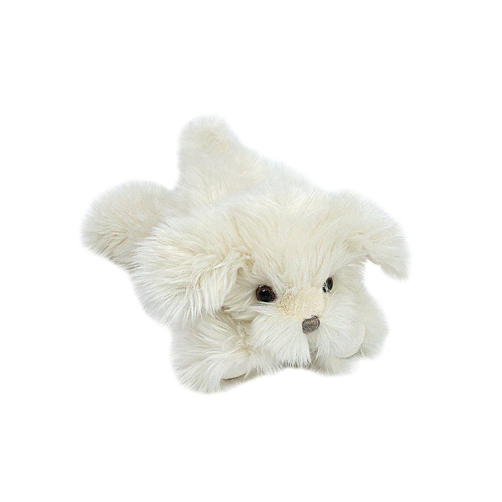 Sugar Maltese Puppy