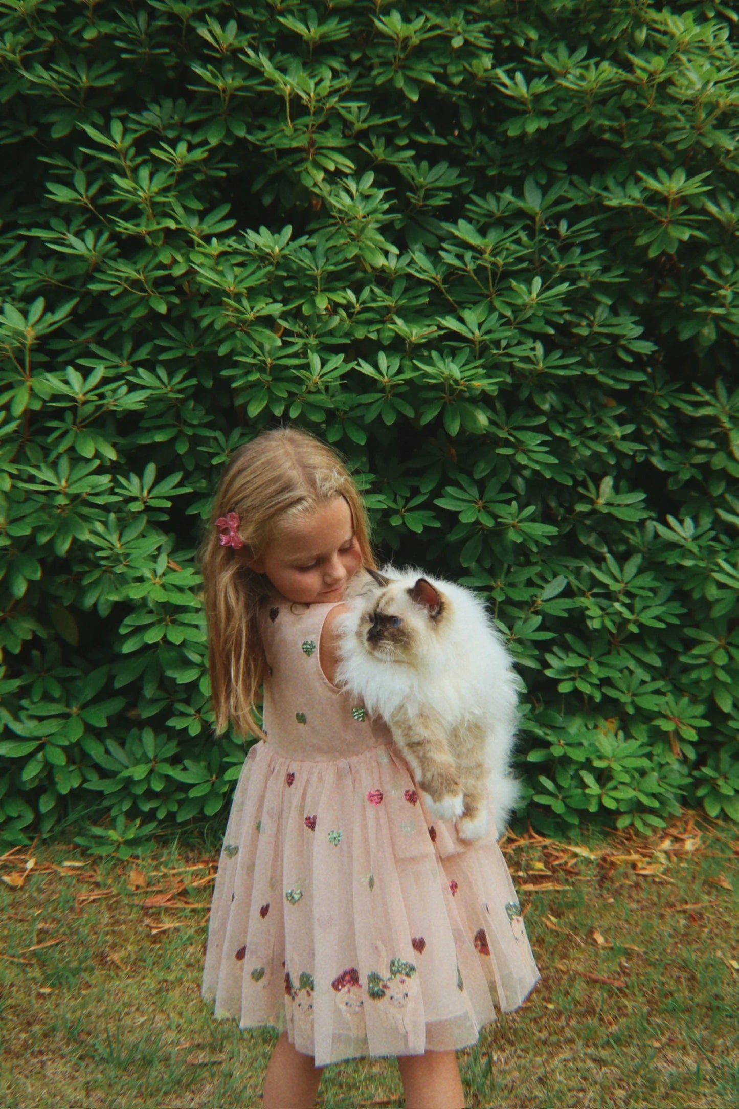 Yvonne Bow Dress - Bow Kitty