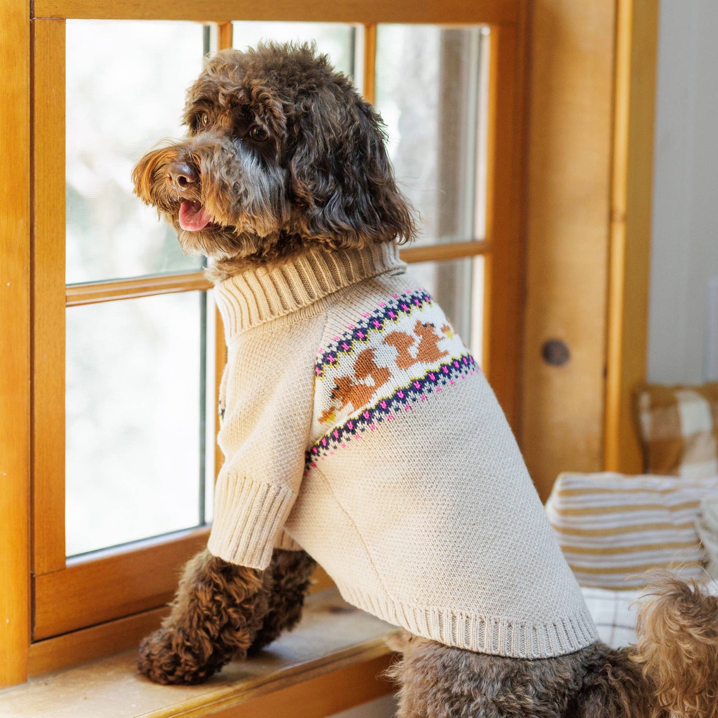 Squirrel Knit Dog Sweater: S