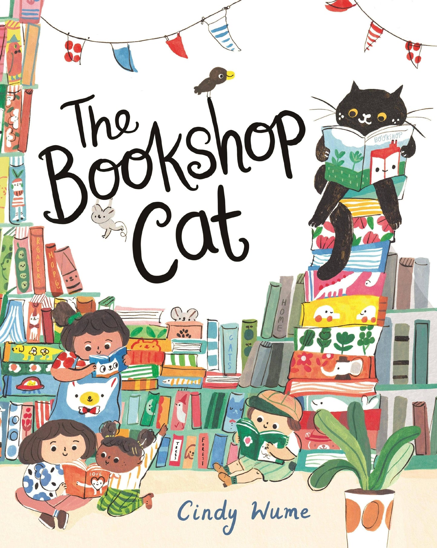 The Bookshop Cat: