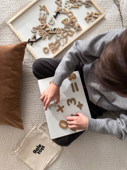 135 Pcs Magnetic Letters and Numbers (Boho Neutrals)