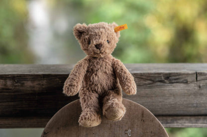 Thommy Teddy Bear Brown Plush Toy, 8 Inches