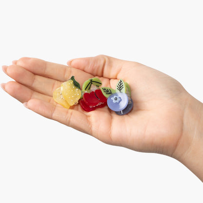 PREORDER: Micro Farmstand Favorites Hair Claw Clip Set