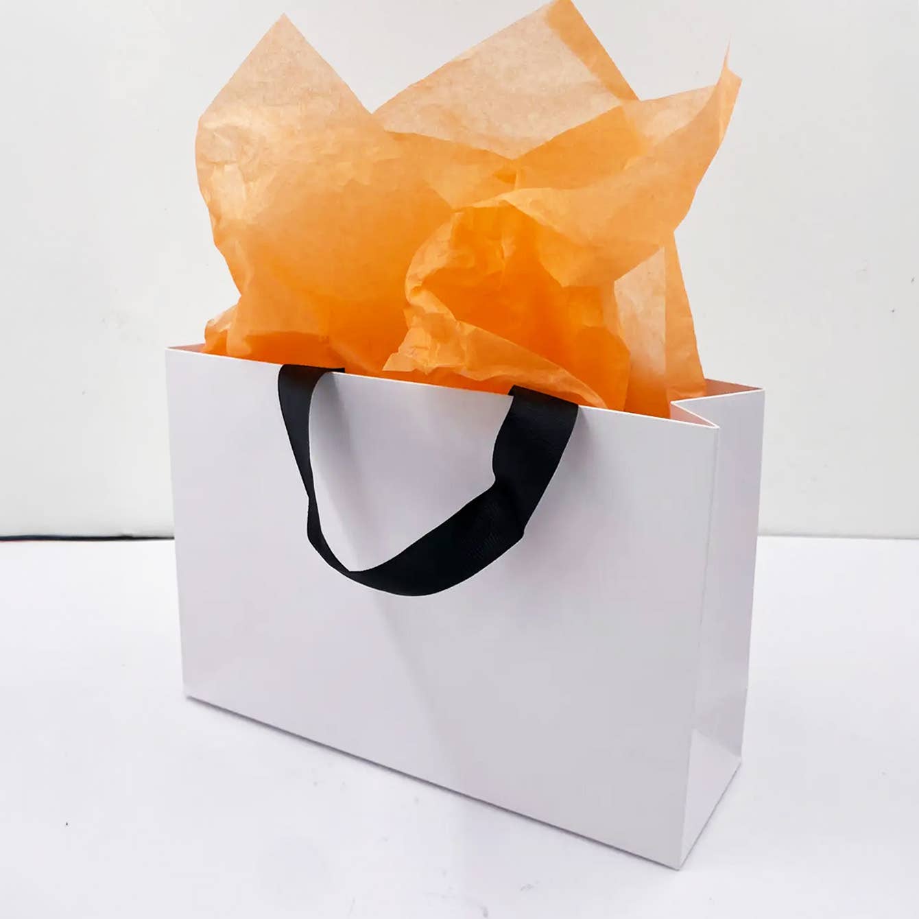 Premium Threaded Rope White Paper Gift Bag w/ free tissue: Small
