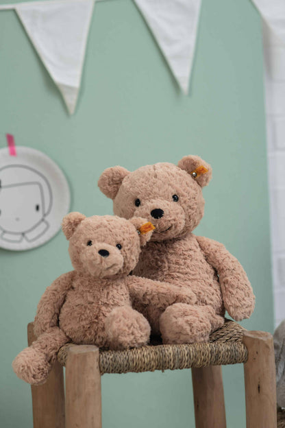 Jimmy Teddy Bear 12 Inches