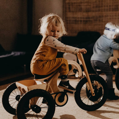Tricycle Add-On