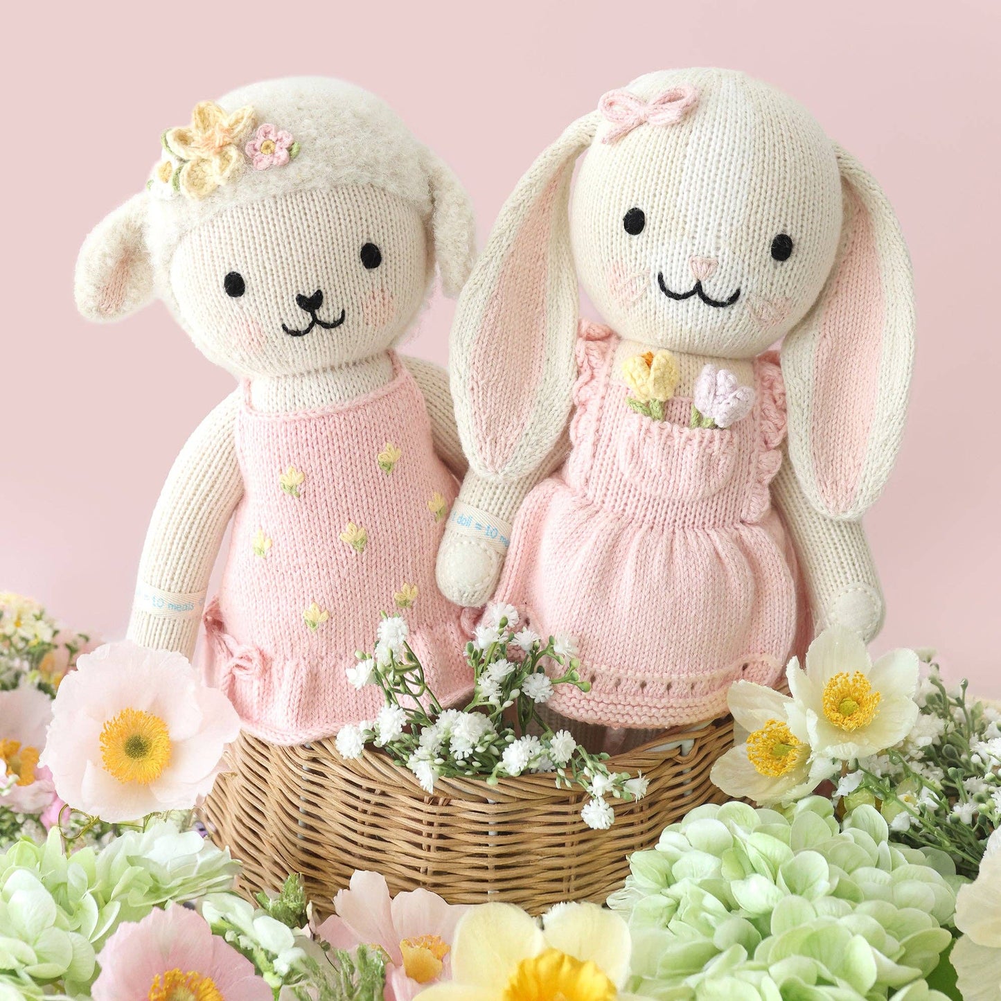 Eleanor the lamb