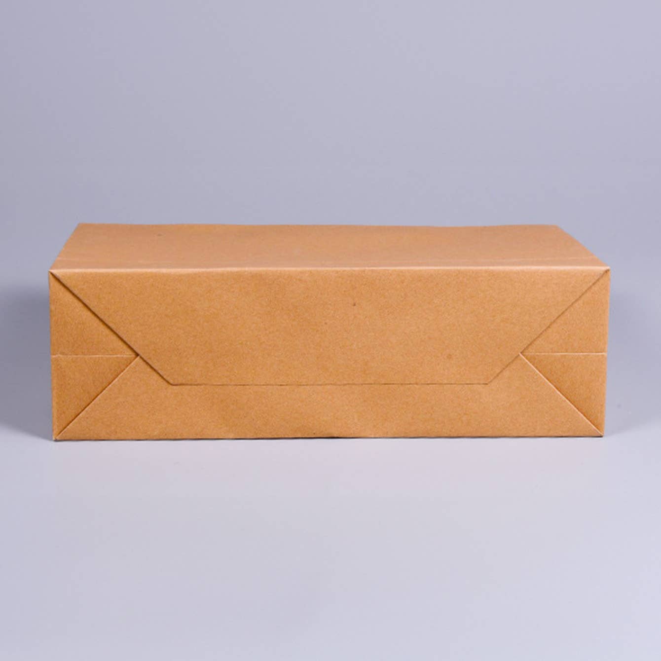 Premium Threaded Rope Kraft Brown Paper Gift Bag w/ tissue: Medium