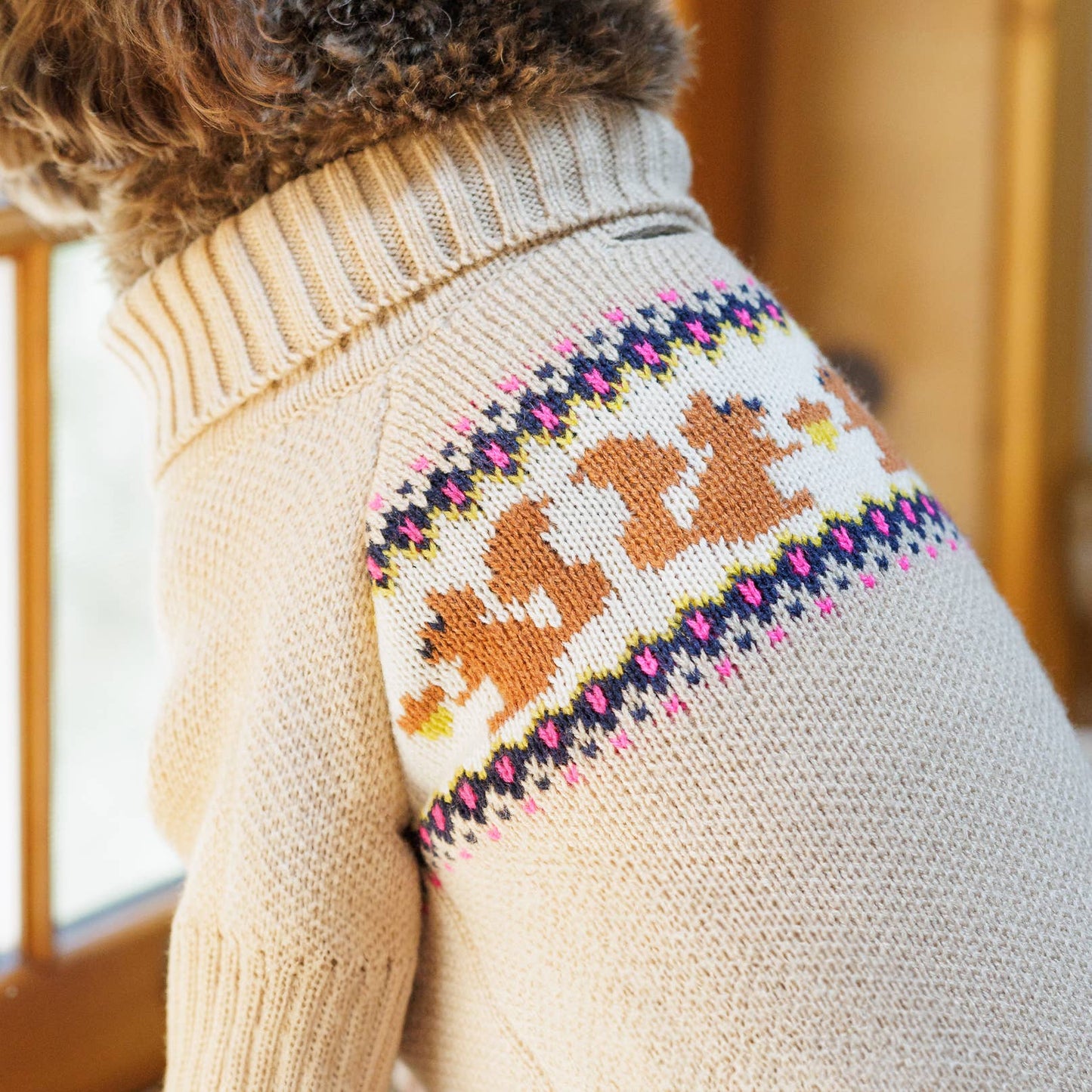 Squirrel Knit Dog Sweater: S