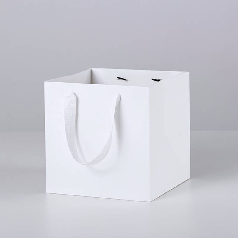 All White Square Cotton Handle Paper Gift Bag w/ free tissue: S2