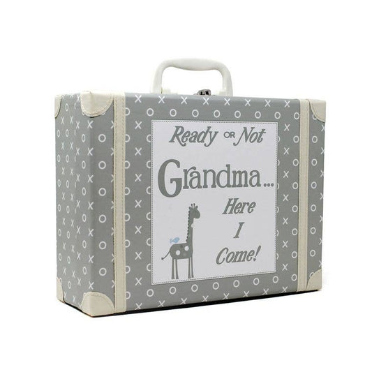 Gray Grandma Suitcase