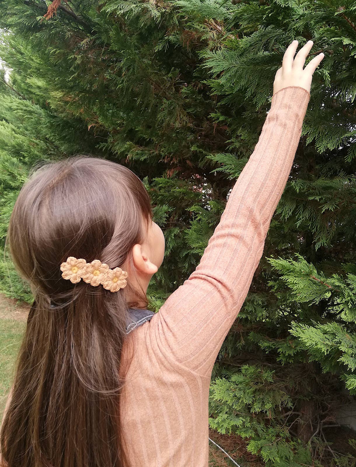 CHAMOMILE hair clip: Beige