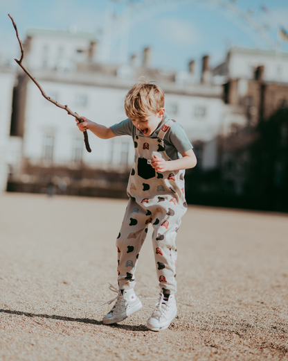 Rib Bear Dungarees: MULTI / 2-3 Years