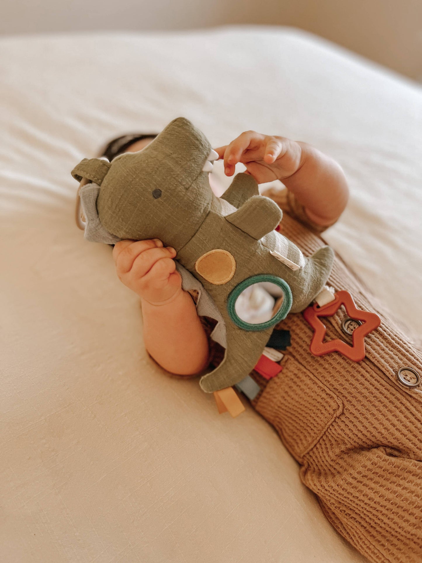 *NEW OPTION* Bitzy Traveler™: Dinosaur