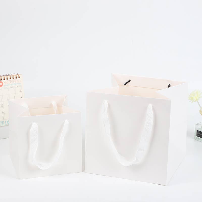 All White Square Cotton Handle Paper Gift Bag w/ free tissue: S1