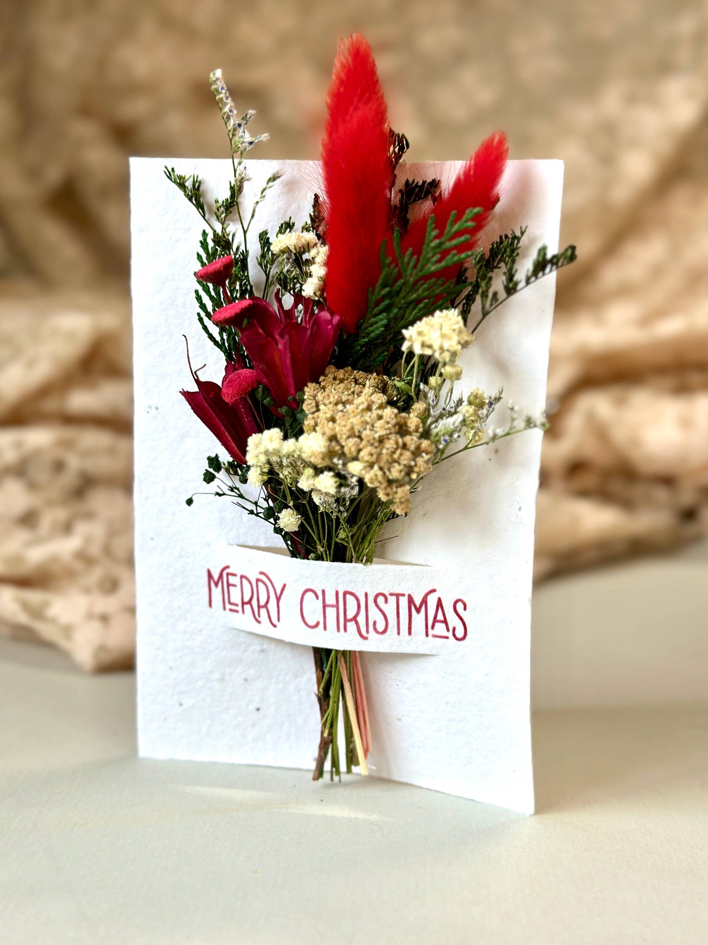 Wildflower Seed Card + Tiny Bouquet | Holiday Edition: Merry Christmas
