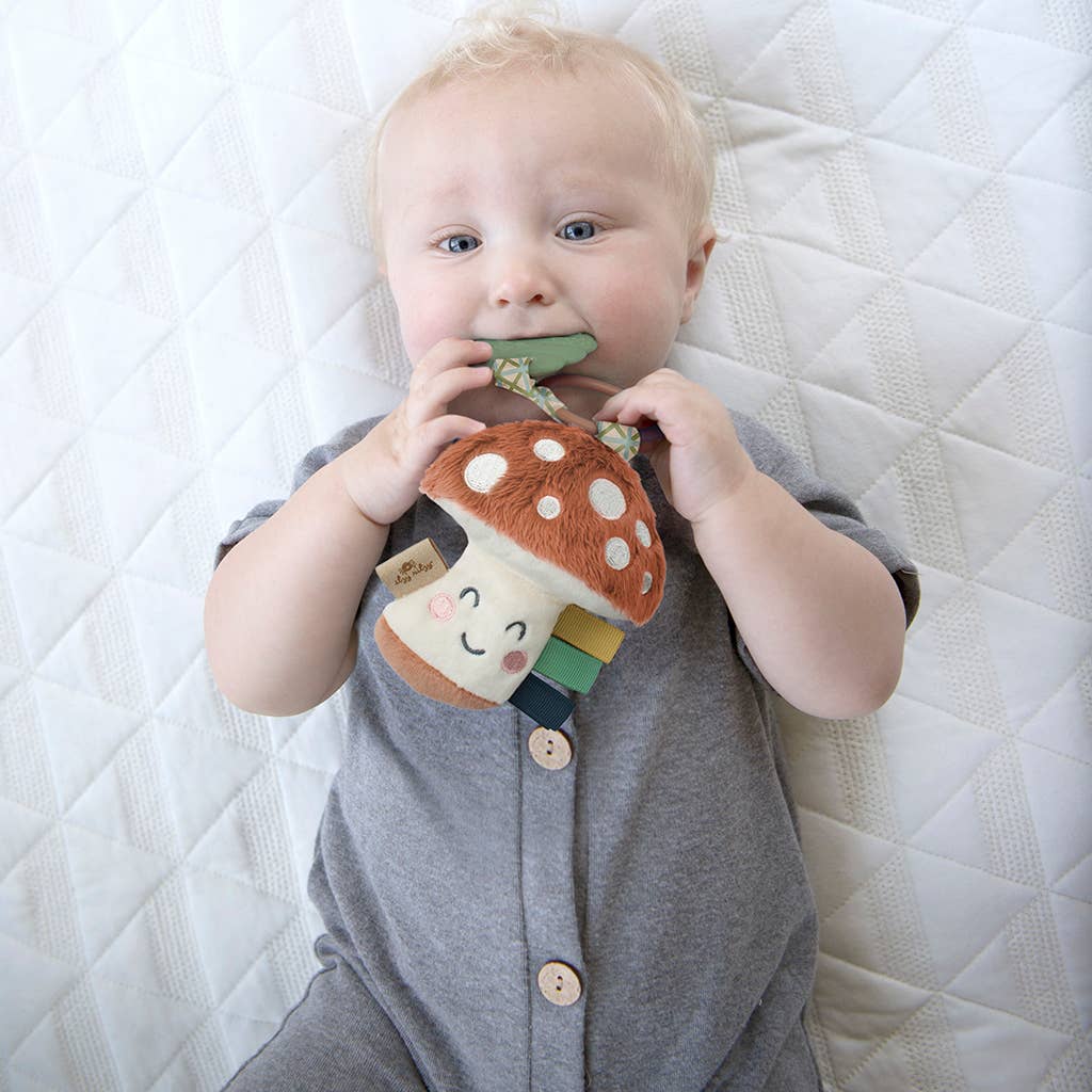 Itzy Pal™ Plush + Teether: Strawberry