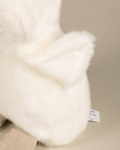 THE PENGUIN PAMPLEMOUSSE X TARTINE ET CHOCOLAT
