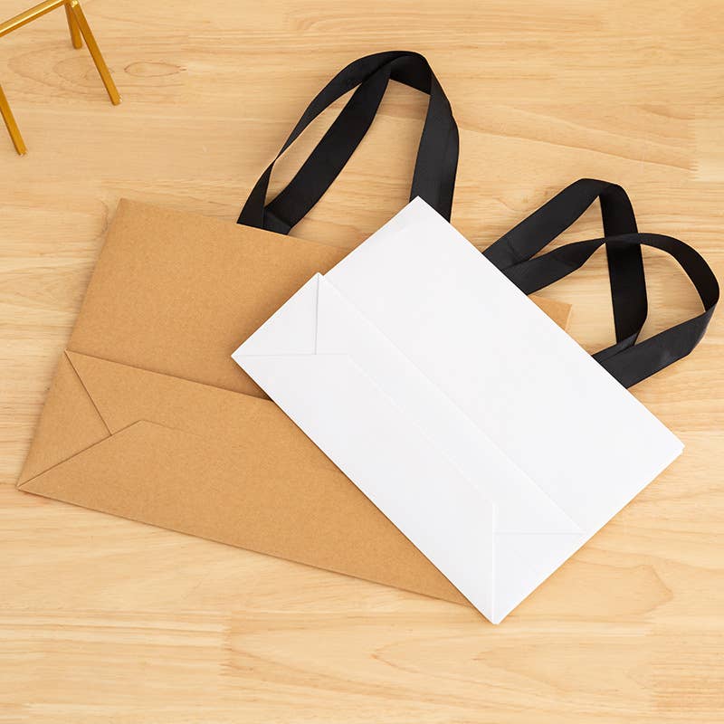 Premium Threaded Rope White Paper Gift Bag w/ free tissue: Large