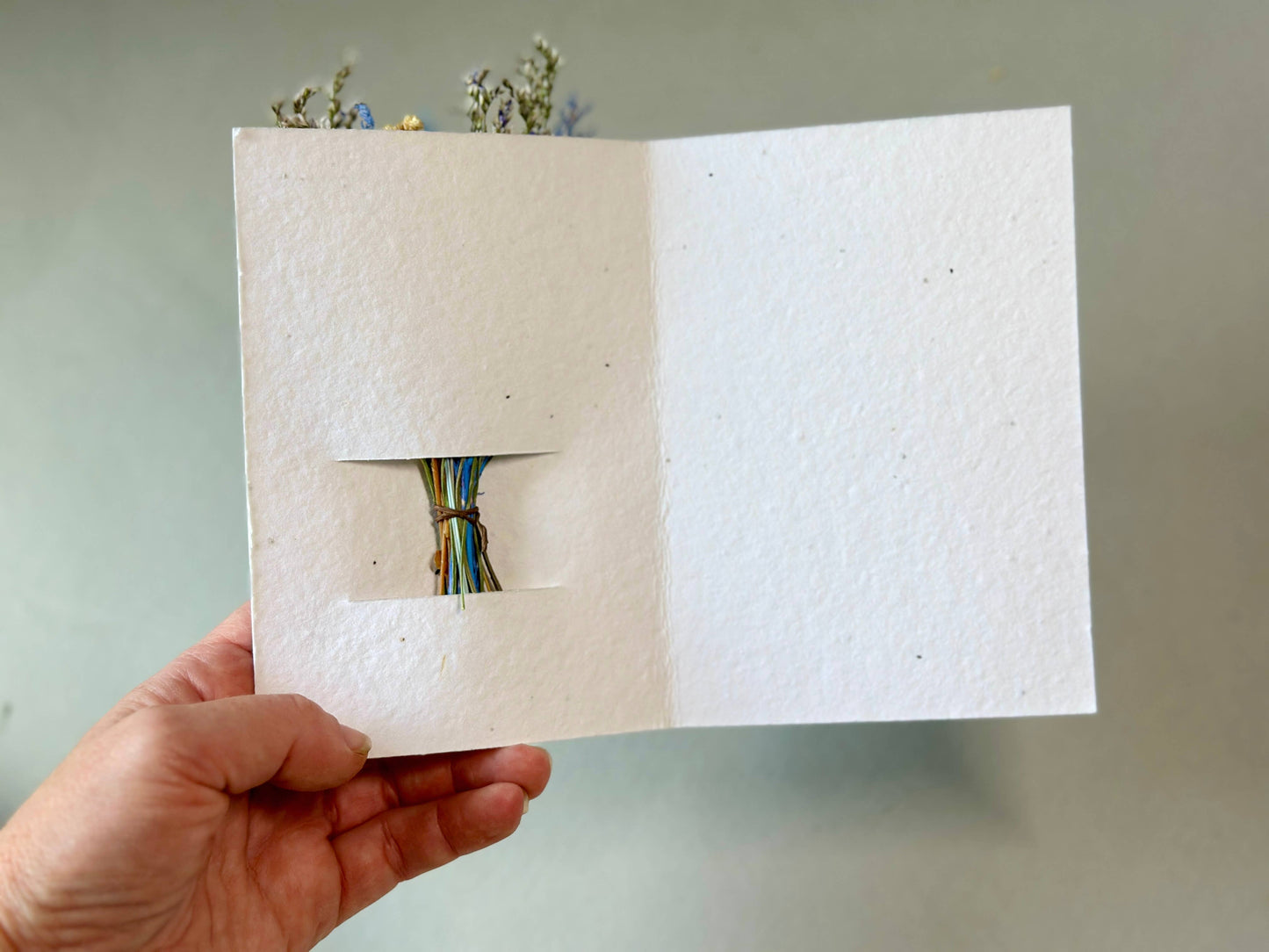 Wildflower Seed Card + Tiny Bouquet | Holiday Edition: Merry Christmas