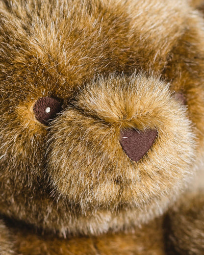 Robert the Bear - Steiff / Brown - Small