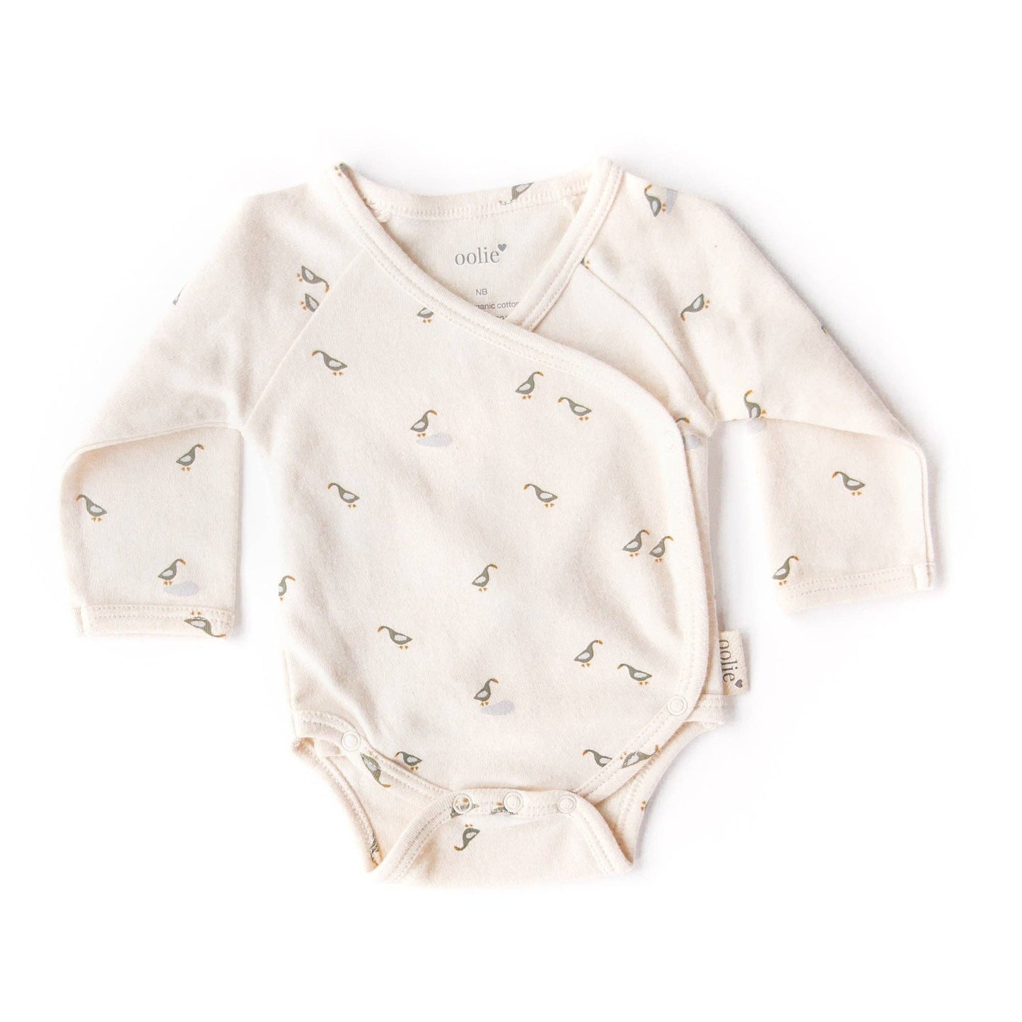 Organic Baby Bodysuit – Runner Ducks: Runner Ducks / Newborn