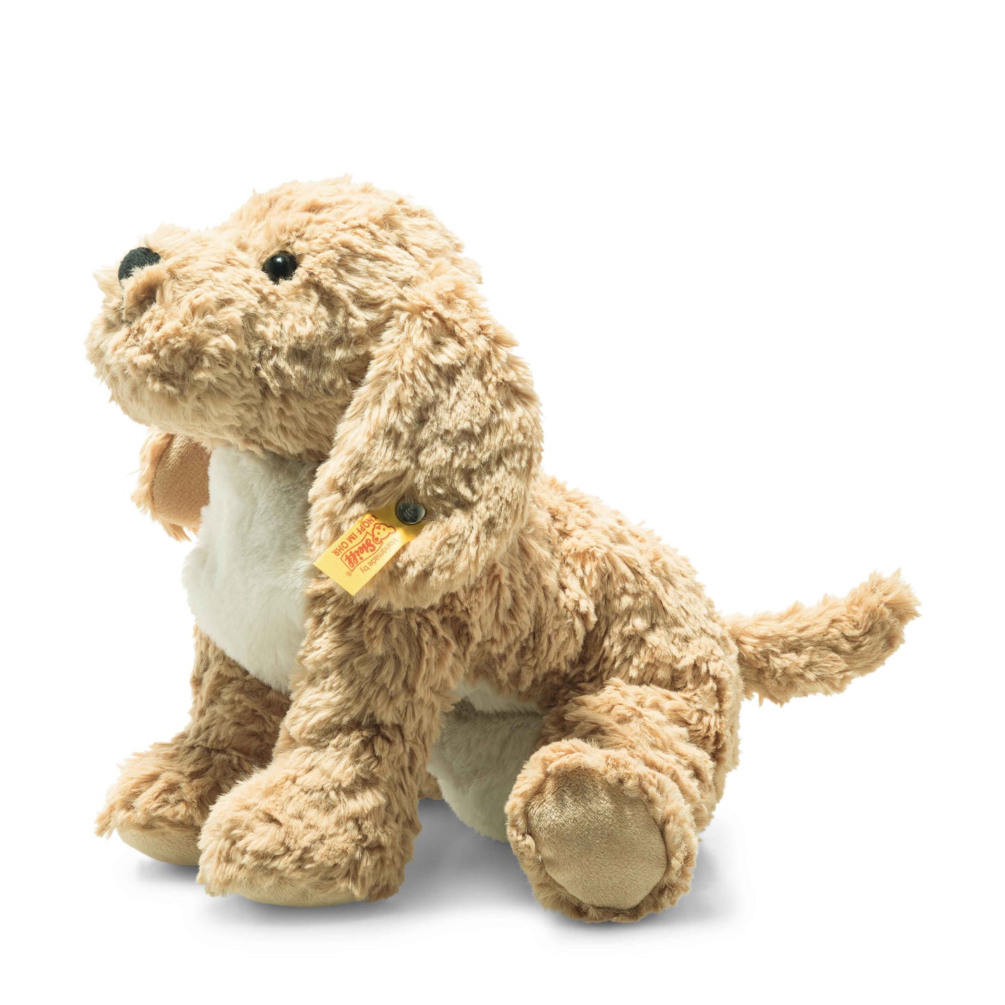 Berno Goldendoodle Puppy 10 Inches