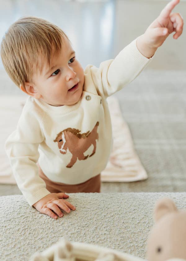 Horse Jacquard Sweater Knit Baby Pullover (Organic Cotton): Natural / 3-6M
