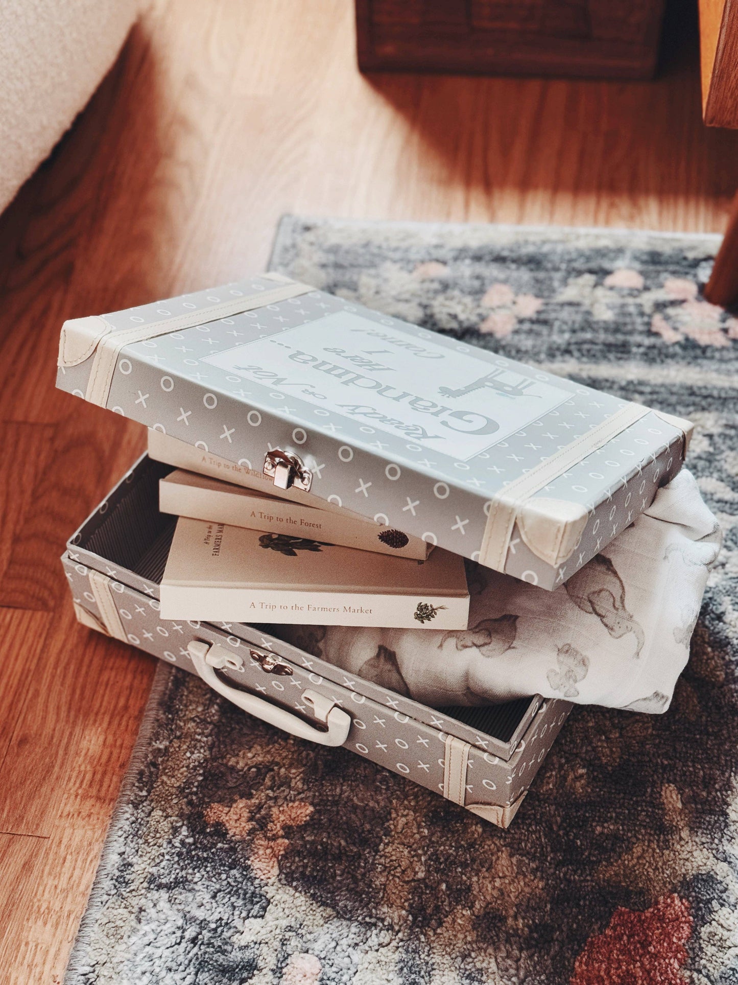 Gray Grandma Suitcase