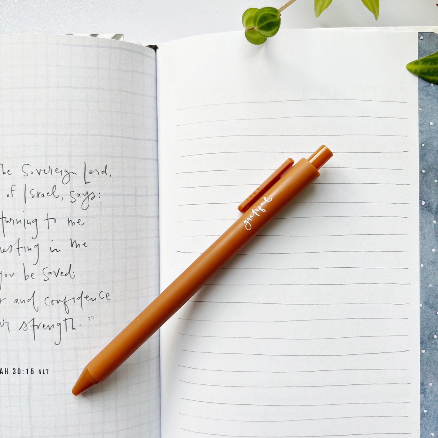 Jotter pen: Celebrate